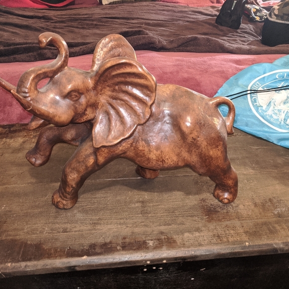 Elephants - Picture 10 of 15